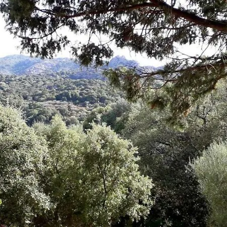 Stazzu La Capretta Farm & Guest Camping 3*