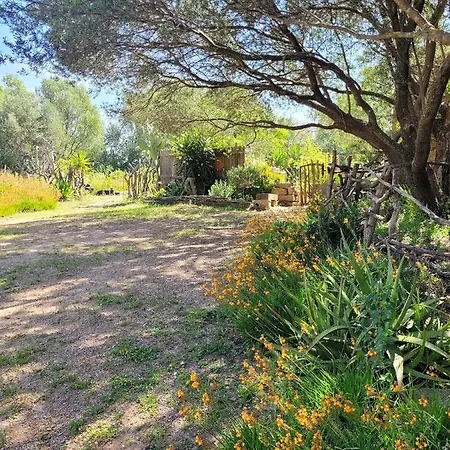 Stazzu La Capretta Farm & Guest 3* אולביה