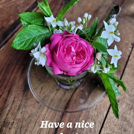 Stazzu La Capretta Farm & Guest Parque de Campismo Olbia