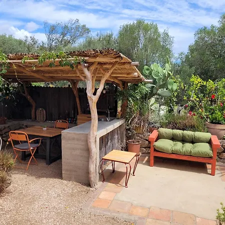 אתר קמפינג Stazzu La Capretta Farm & Guest אולביה