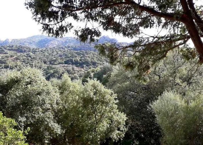 Stazzu La Capretta Farm & Guest Campsite 3*